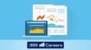 The Complete Financial Analyst Course