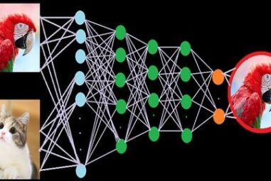 A deep dive in deep learning ocean with Pytorch & TensorFlow
