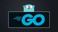 Go – The Complete Guide