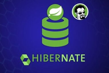 Hibernate and Spring Data JPA: Beginner to Guru