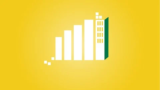 Microsoft Power BI – The Practical Guide 2025
