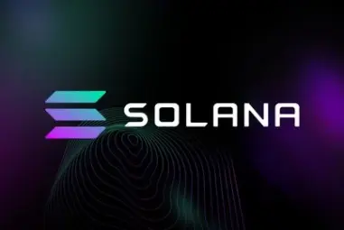 Solana Blockchain Developer Bootcamp with Rust + JavaScript