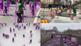 YOLOv8 & YOLO11: Custom Object Detection & Web Apps 2025