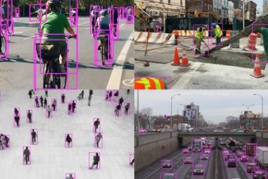 YOLOv8 & YOLO11: Custom Object Detection & Web Apps 2025